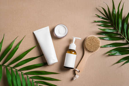 Natural cosmetic cream, body lotion, massage brush and green plants on beige background, top view. Dermatology, organic skin care and spa concept with green palm leaves.の写真素材