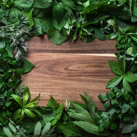 Green leaves and wooden background, creative layout, copy space. Nature, eco, environment concept.の写真素材