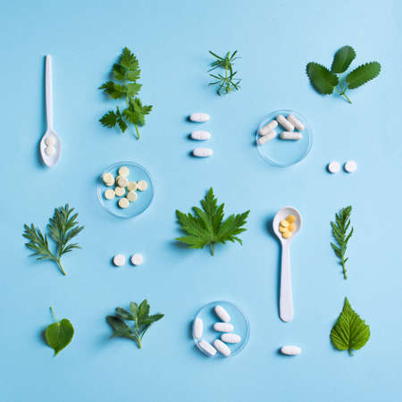 Homeopathy, naturopathy and alternative herbal medicine. Capsules and pills, green plant leaves on blue background, top view, square pattern.の写真素材