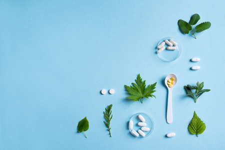 Homeopathy, naturopathy and alternative herbal medicine. Capsules and pills, green plant leaves on...