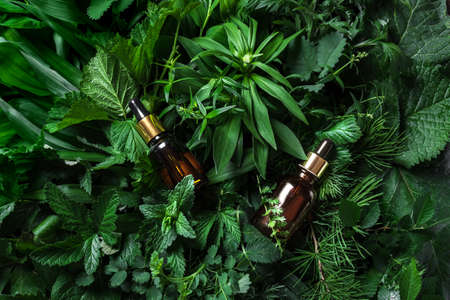 Amber glass essential oil or serum bottles on green plants, leaves background. Natural organic skin care concept, green eco herbal cosmetics.の写真素材