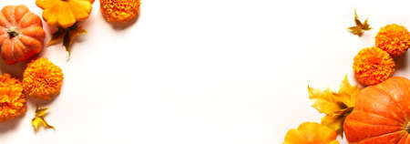 Autumn composition with pumpkins and marigold flowers isolated on white, banner, copy space. Seasonal fall, Thanksgiving, mid autumn festival background.の写真素材