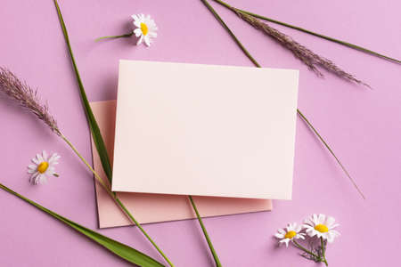 Greeting or invitation card, daisy flowers and green reed plant on pink pastel background. Stylish...