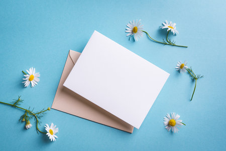 Greeting or invitation blank card and daisy flowers on blue background. Stylish mock up, top view, copy spaceの写真素材