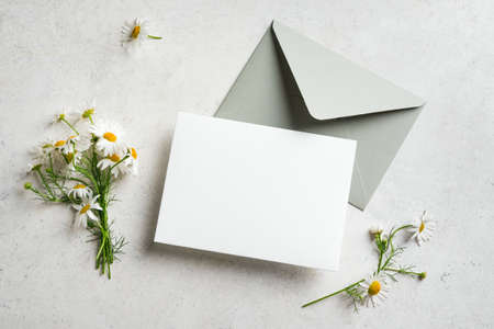 Greeting or invitation blank card and daisy flowers on white stone background. Creative mock up, top view, copy spaceの写真素材