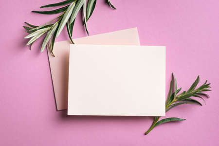 Greeting or invitation blank card and green plant on pink background. Stylish mock up, top view,...