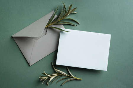 Greeting or invitation blank card and green plant on dark olive background. Stylish mock up, top view, copy spaceの写真素材