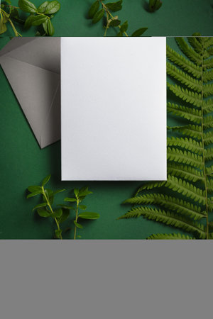 Greeting or invitation blank card and green fern plant leaves on dark green background. Stylish creative mock up, copy space.の写真素材