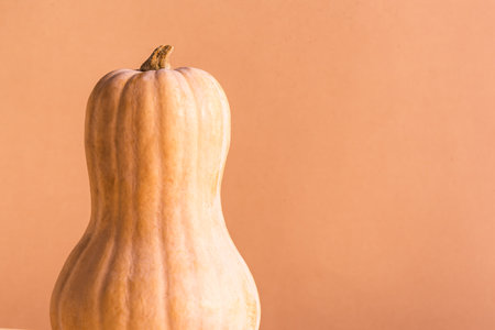 Pumpkin on orange background, close up. Minimal autumn trendy composition with butternut pumpkin, Halloween or fall holidays concept.の写真素材