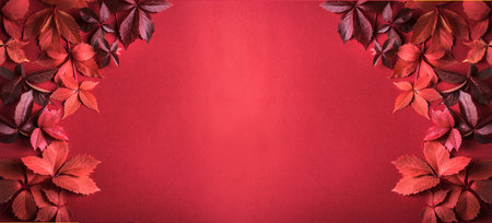 Autumnal red leaves on red background, autumn season concept, banner