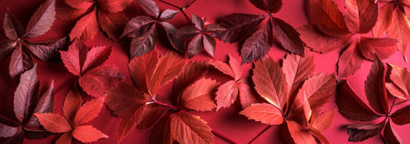 Autumnal red leaves as background, autumn season concept, banner