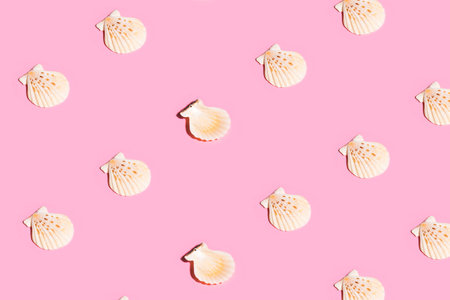 Summer pattern made with white seashells on pink background. Minimal trendy summer concept.の写真素材