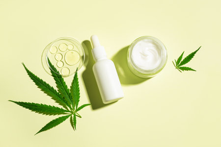 Hemp cannabis leaves and sample of cosmetic product, cbd oil in petri dish, serum bottle and face cream on light yellow background, top view, copy space. Bio research and organic skin care concept.の写真素材