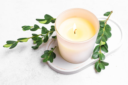 Burning scented candle in glass jar and green plant leaves on white concrete background, copy space. Spa template and aroma massage concept.の写真素材