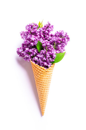 Purple lilac flowers in waffle ice cream cone isolated on white background, creative layout, design element. Spring seasonal conceptの写真素材