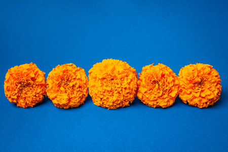 Orange Marigold Flower as garland on blue background, design template, copy space. Mexican...