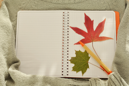 Empty notebook (with space for text), autumn leaves (maple, oak) and a handle on the background of warm woolen gray sweaters in the autumn season. Autumn Period and Educationの写真素材
