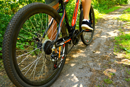 Walking through the forest. Close-up of hands on bicycle. Sport and nature.