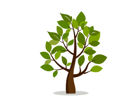 tree icon. Nature park. vector image.のイラスト素材