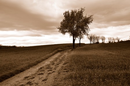 A quiet country landscape in Tuscany, Italyの写真素材