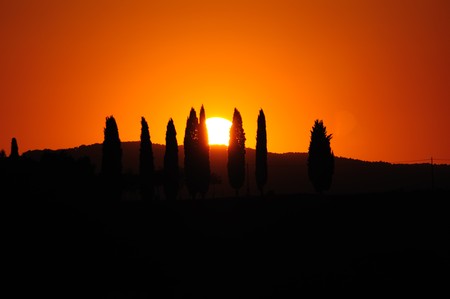 A Picture taken in tuscany in summer timeの写真素材