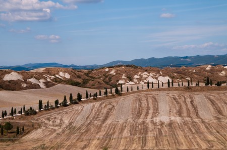 A typical landscape of the "crete Senesi Area" near Siena. Always green in may, yellow in june, became brown and arid in august and septemberの写真素材