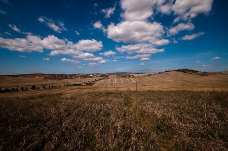 A typical landscape of the "crete Senesi Area" near Siena. Always green in may, yellow in june, became brown and arid in august and septemberの写真素材