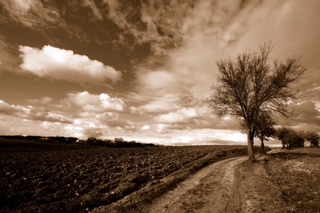 A BEAUTIFUL COUNTRY PATH IN TUSCANYの写真素材