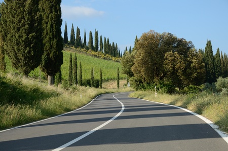 Scenic Road in Tuscanyの写真素材