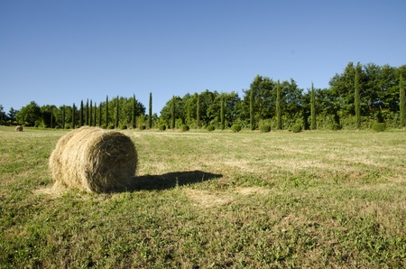 Country landscapeの写真素材