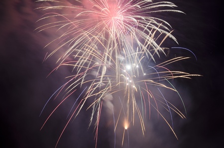 Colored firework on a black sky introduce the summer
