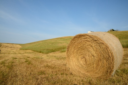 A beautiful summer country landscape in Tuscany