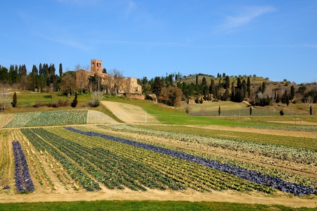 The ruins of an ancient church in Tuscany, built on the ruins of a roman temple