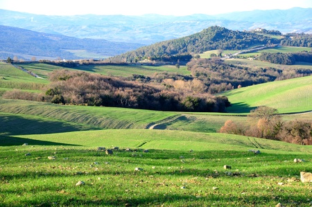 Scenic view of a typical Tuscan landscapeの写真素材