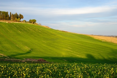 Chianti is one of the most famous rural area of Tuscanyの写真素材