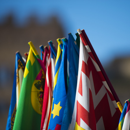 The flags of the Palio