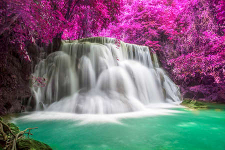 Beautiful waterfall nature scenery of colorful deep forest in summer dayの写真素材