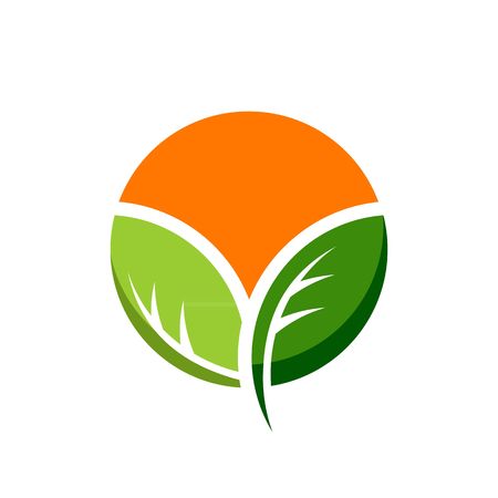 Stylized orange with green leaf illustration isolated on white background.のイラスト素材