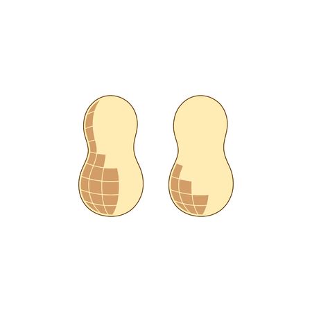 Two peanuts vector illustration isolated on white background.