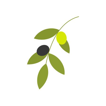 Olive branch illustration isolated on white background.のイラスト素材
