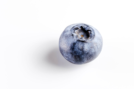 Close up single blueberry.の写真素材