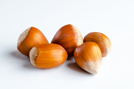 Fistful of hazelnuts isolated on white background.の写真素材