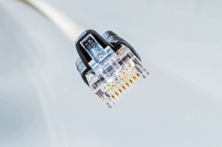 Closeup cable connector (RJ45)
