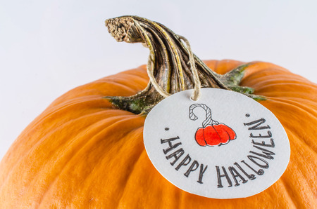 Orange pumpkin with round label on white background. Halloween decor.の写真素材