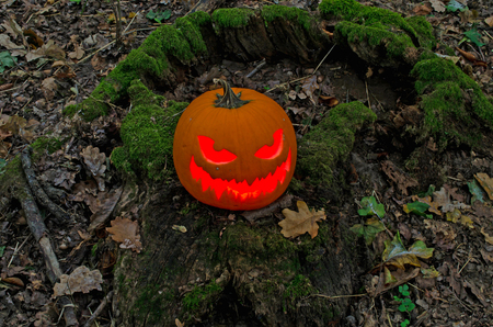 Jack or lantern in forested background. Halloween background.の写真素材