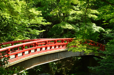 On the sunny day of spring, the red bridge in the forestの写真素材