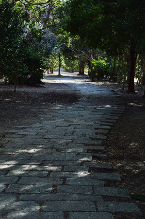 A winter park where the light that passes through the trees partially illuminates the walking path