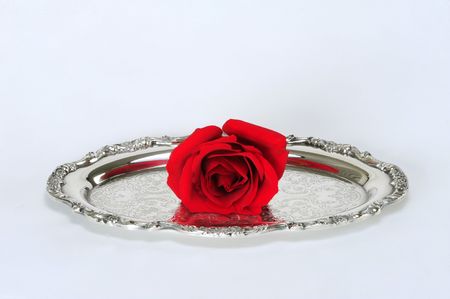 Red Roseの写真素材