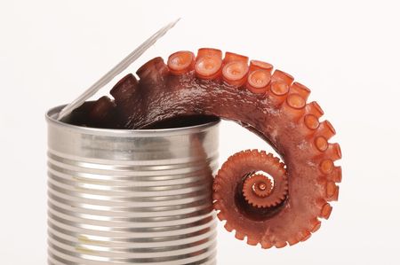 Octopus in a Can.の写真素材