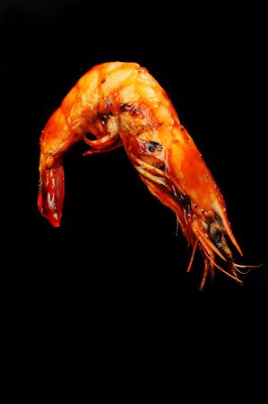 Shrimp on black background ready for your type.の写真素材